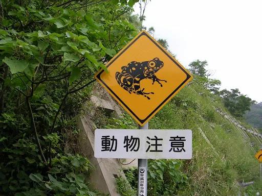 螃蟹出没请注意 那些奇奇怪怪的动物警告标志你都见过吗 沪江日语学习网