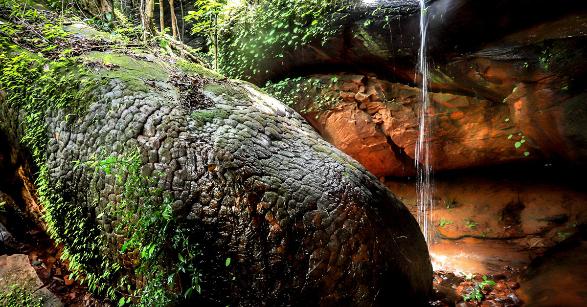 娜迦信仰者专属洞穴连泰国明星们都来打卡的神秘超自然景观