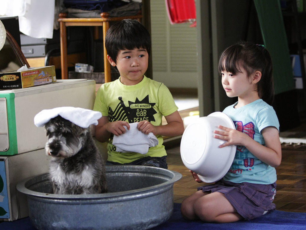 芦田爱菜铃木福marumori组合年满十八步入成年