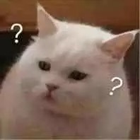 （活动结束）【词书福利】麻麻再也不用担心我记不住单词！