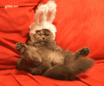 【干货分享】春困秋乏夏打盹，“睡觉”用英语怎么说？