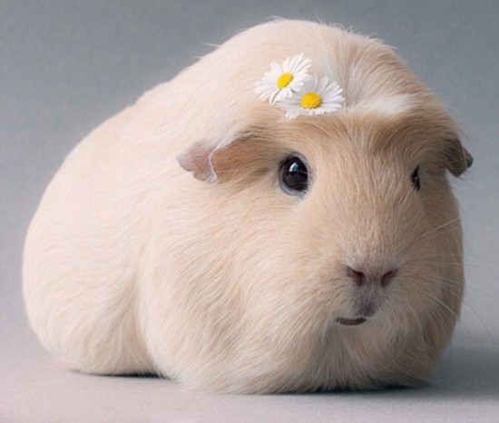 【每日一测】今天有什么特别的事情要做吗?