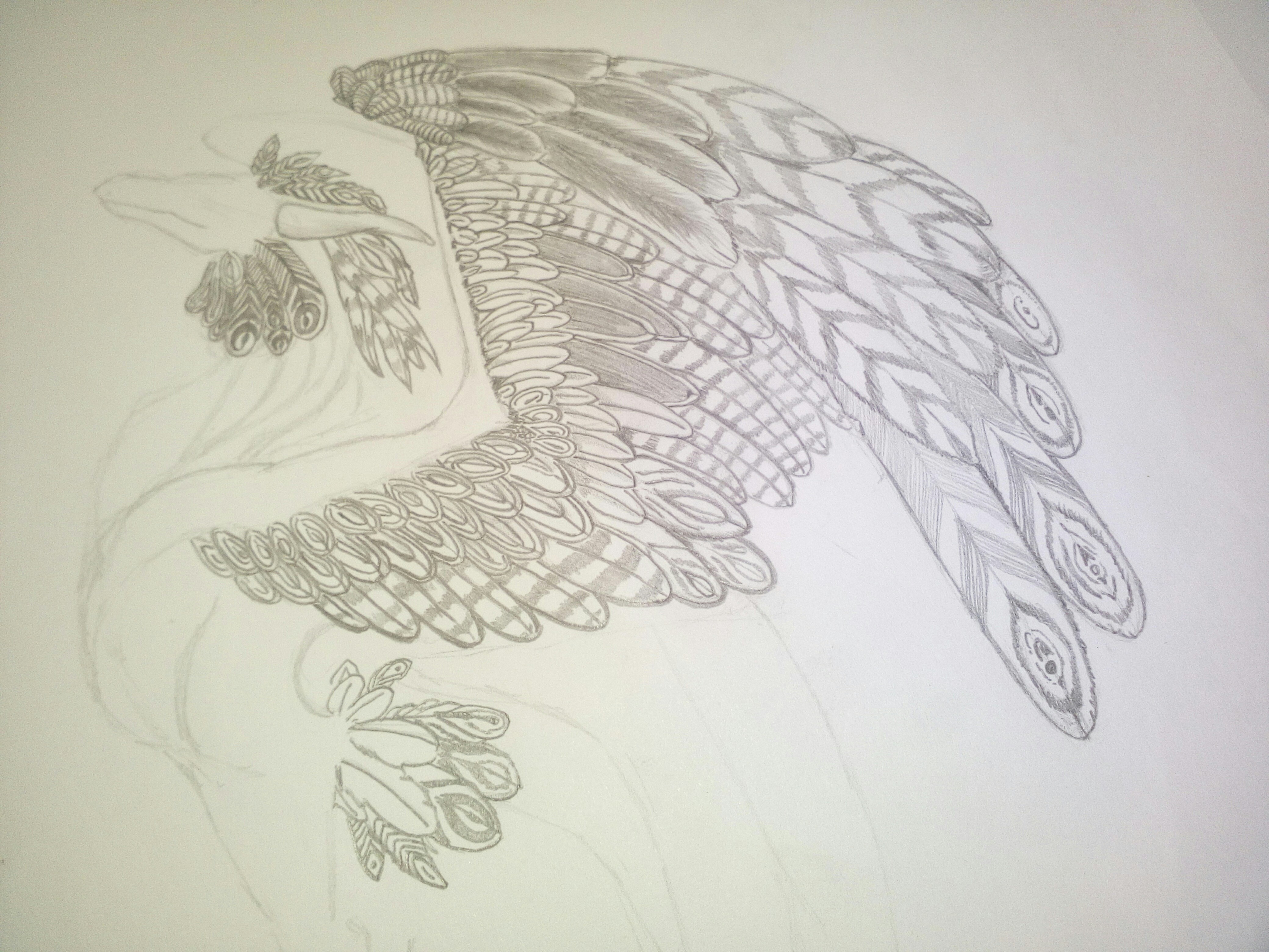 【2016年11-12月新手村】翅膀:多拉贡