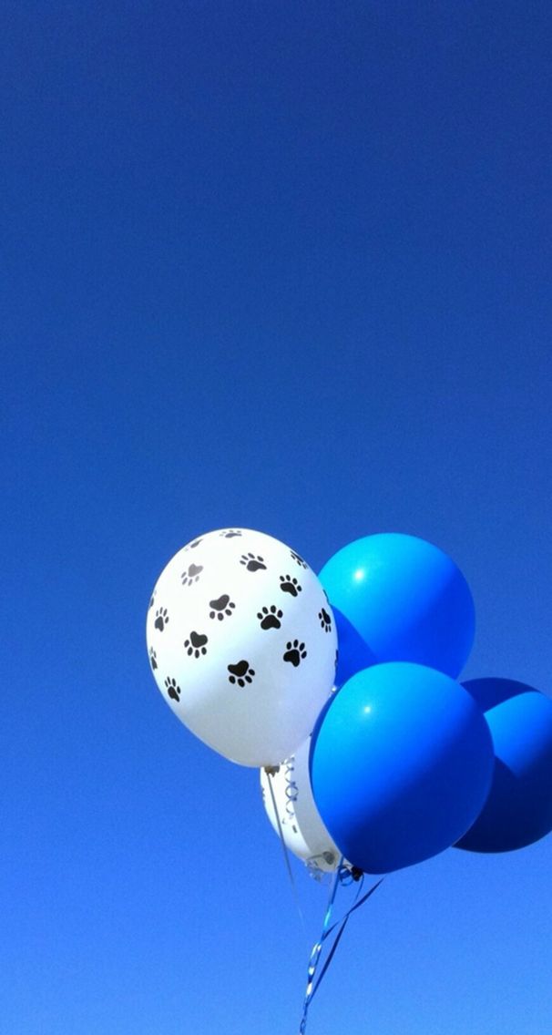 阅读   中高级:还记得小恐龙多利吗