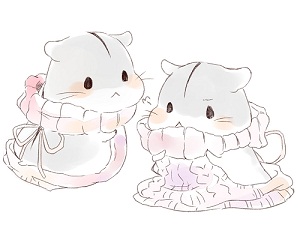 雅蠛蝶歌 Doersd