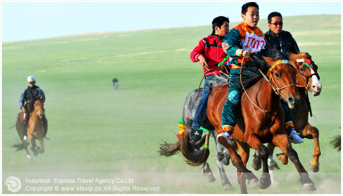 超好听二胡独奏《赛马》_乡村青年教师社会支