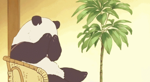 500_273gif 动态图 动图
