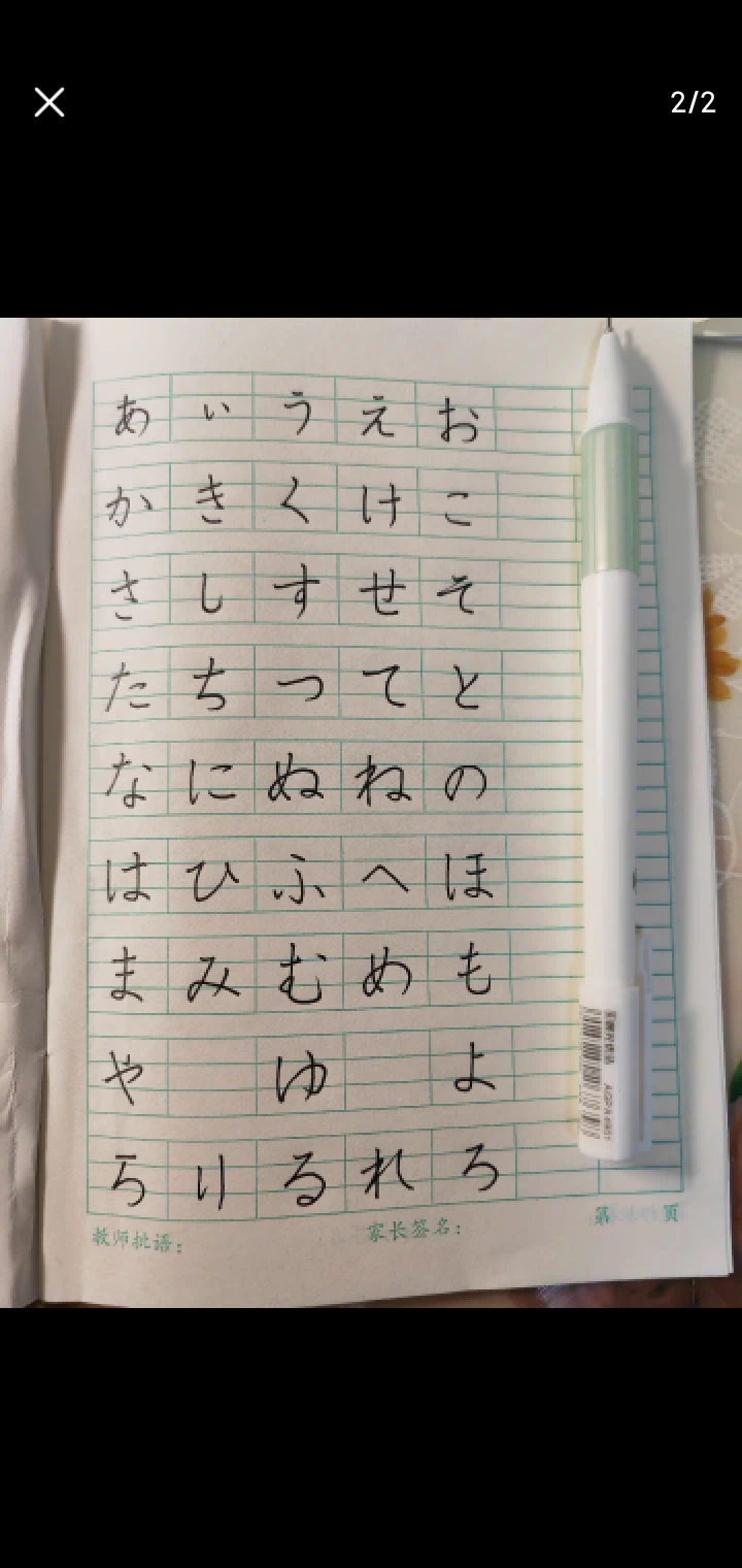 作业图片