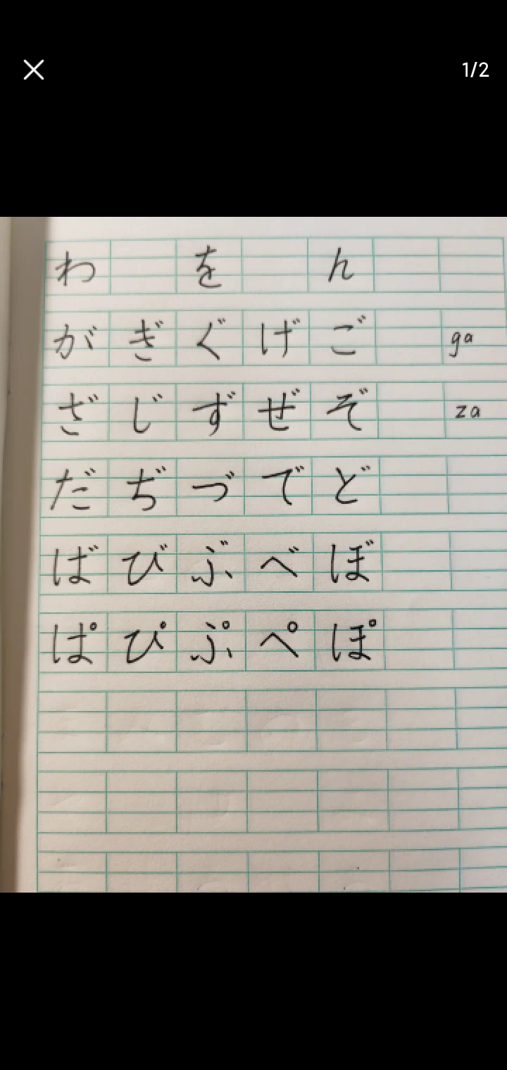 作业图片