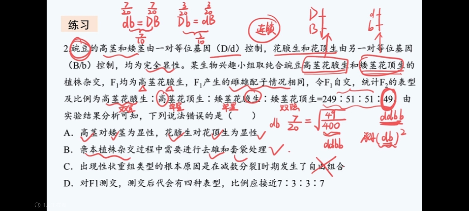 作业图片