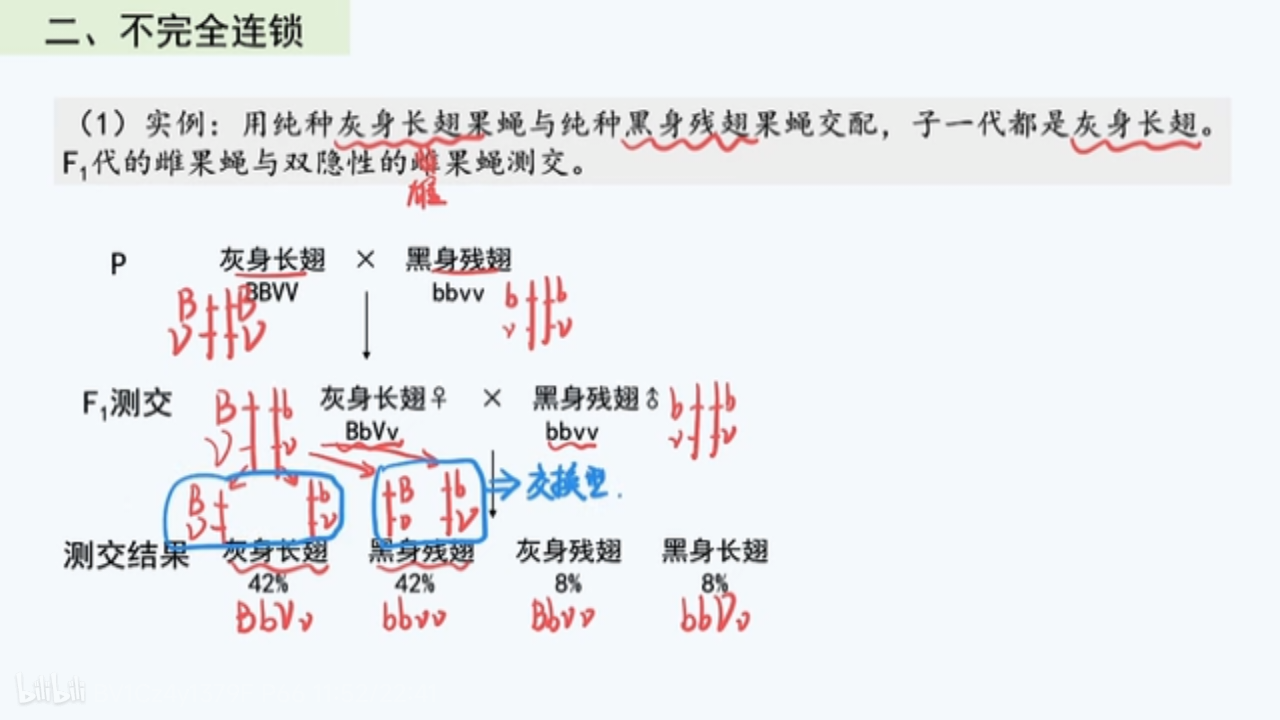 作业图片