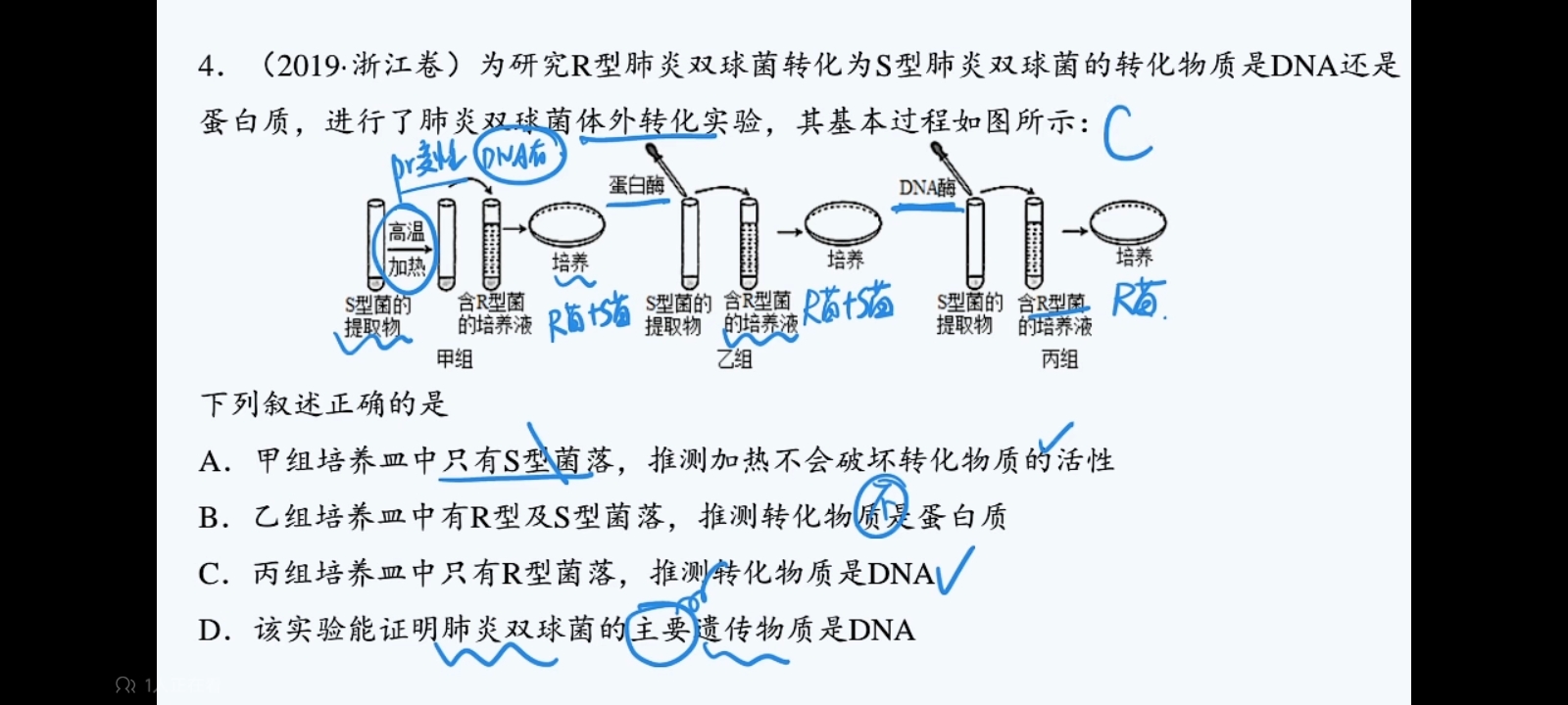 作业图片