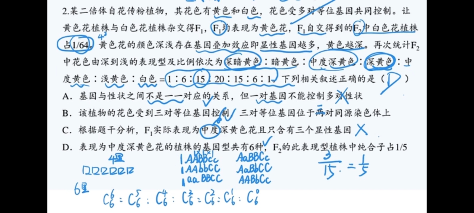 作业图片