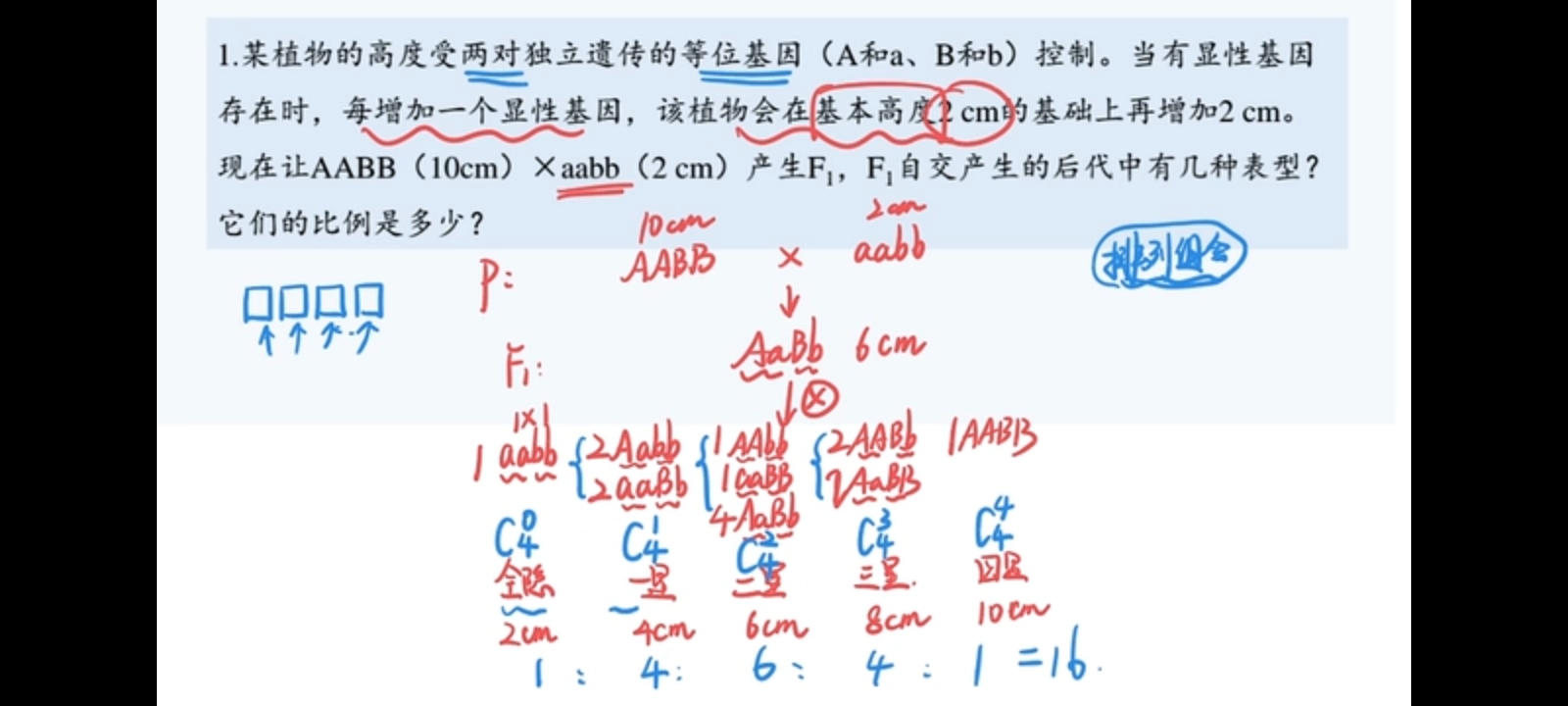 作业图片