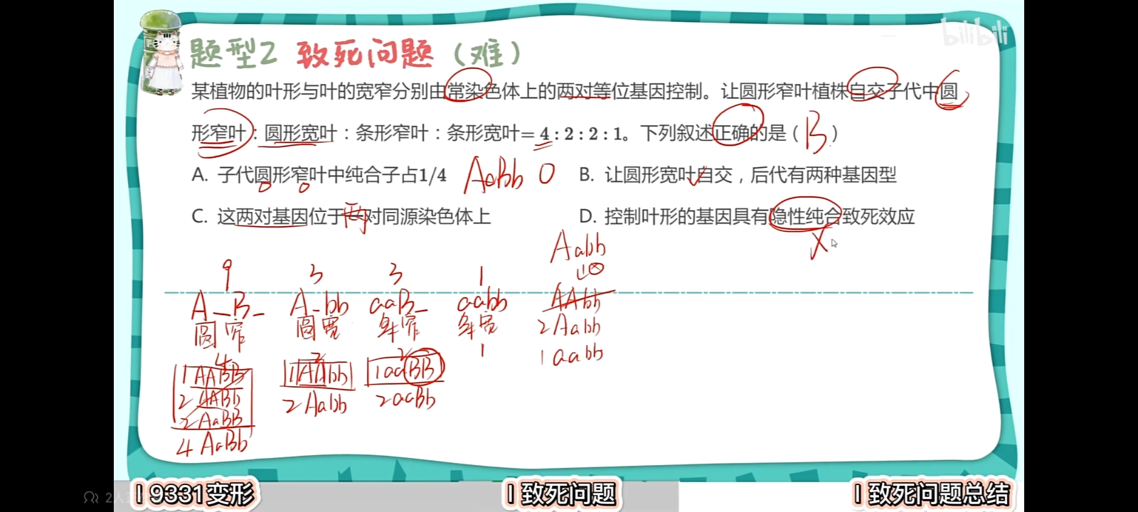 作业图片