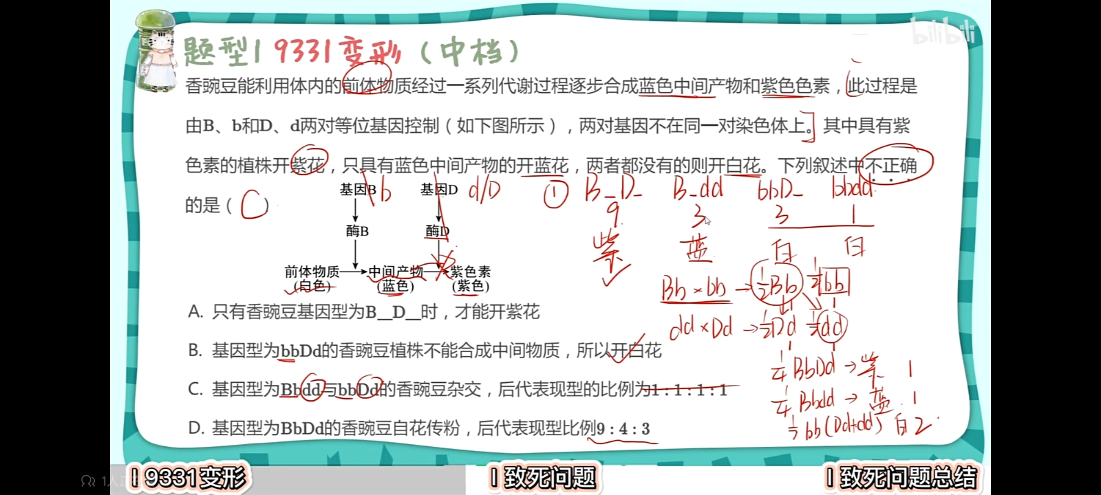 作业图片