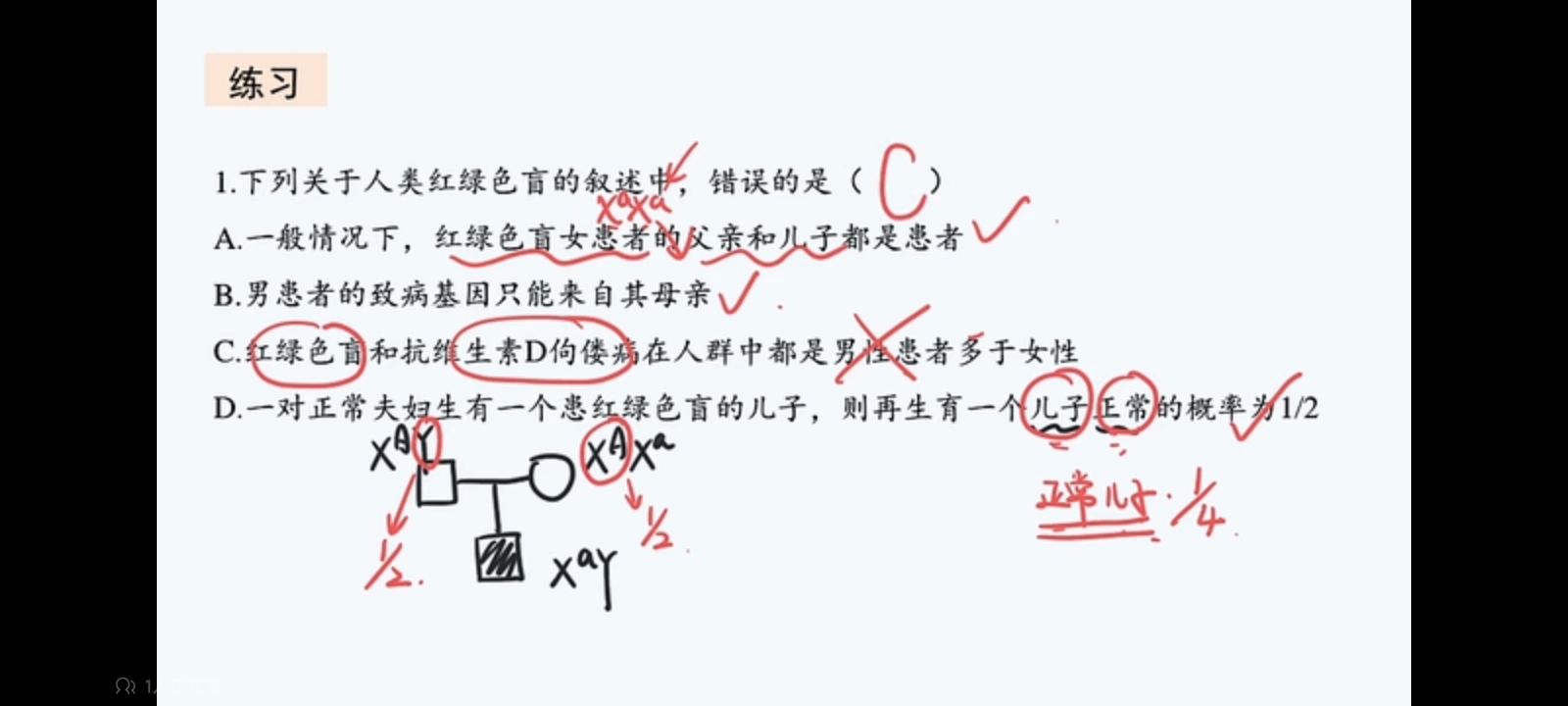 作业图片