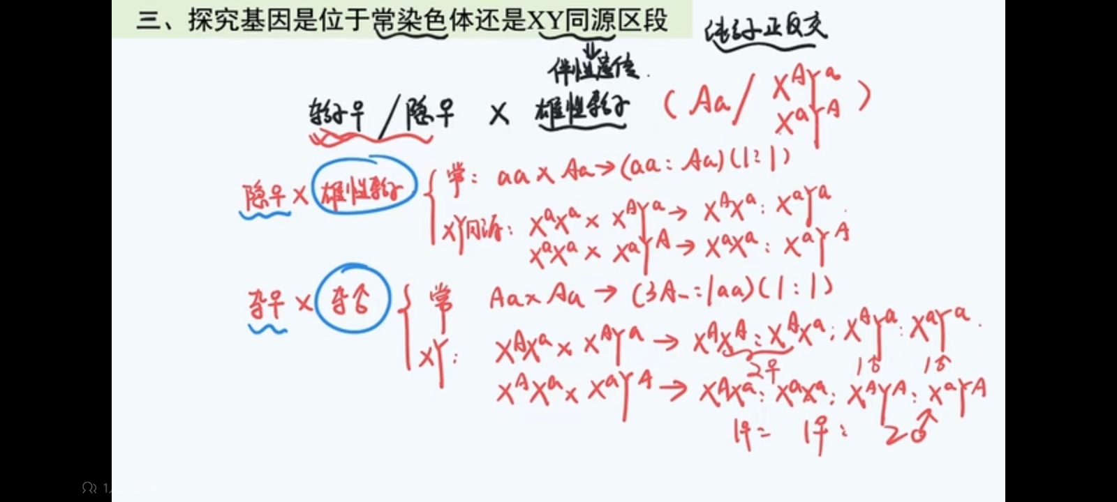 作业图片