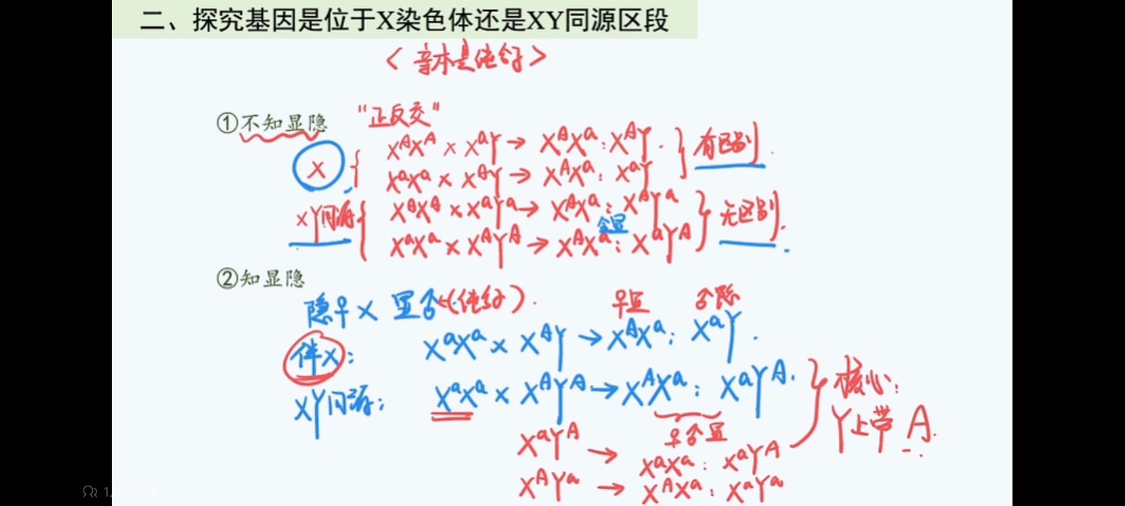 作业图片