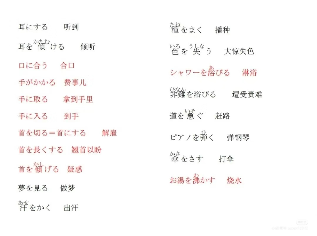 作业图片