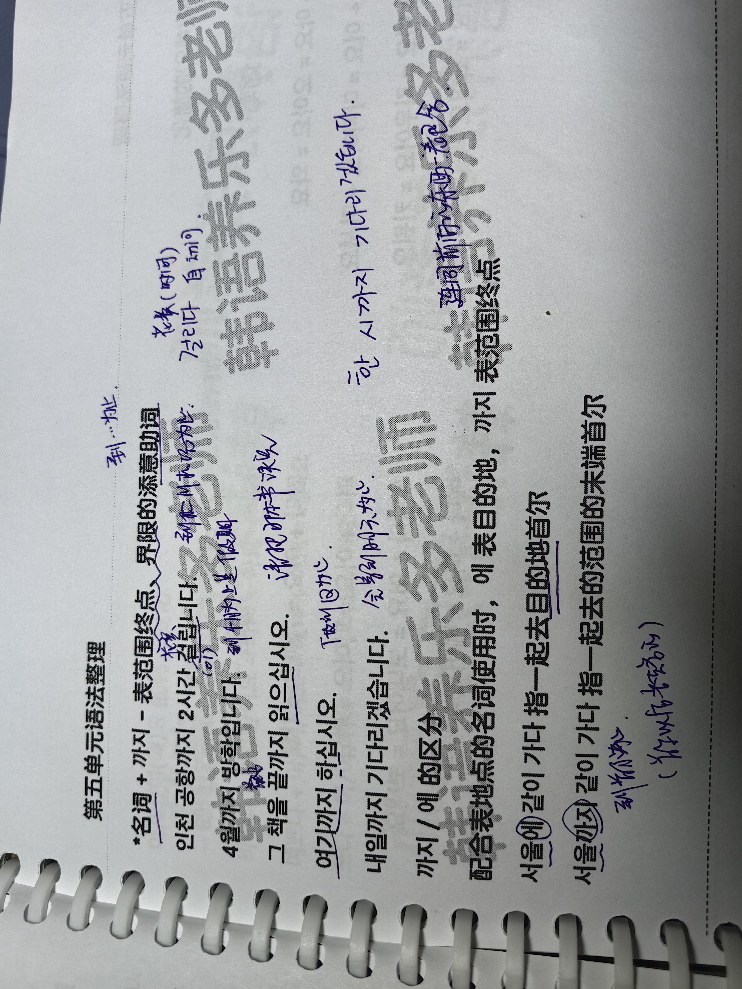 作业图片