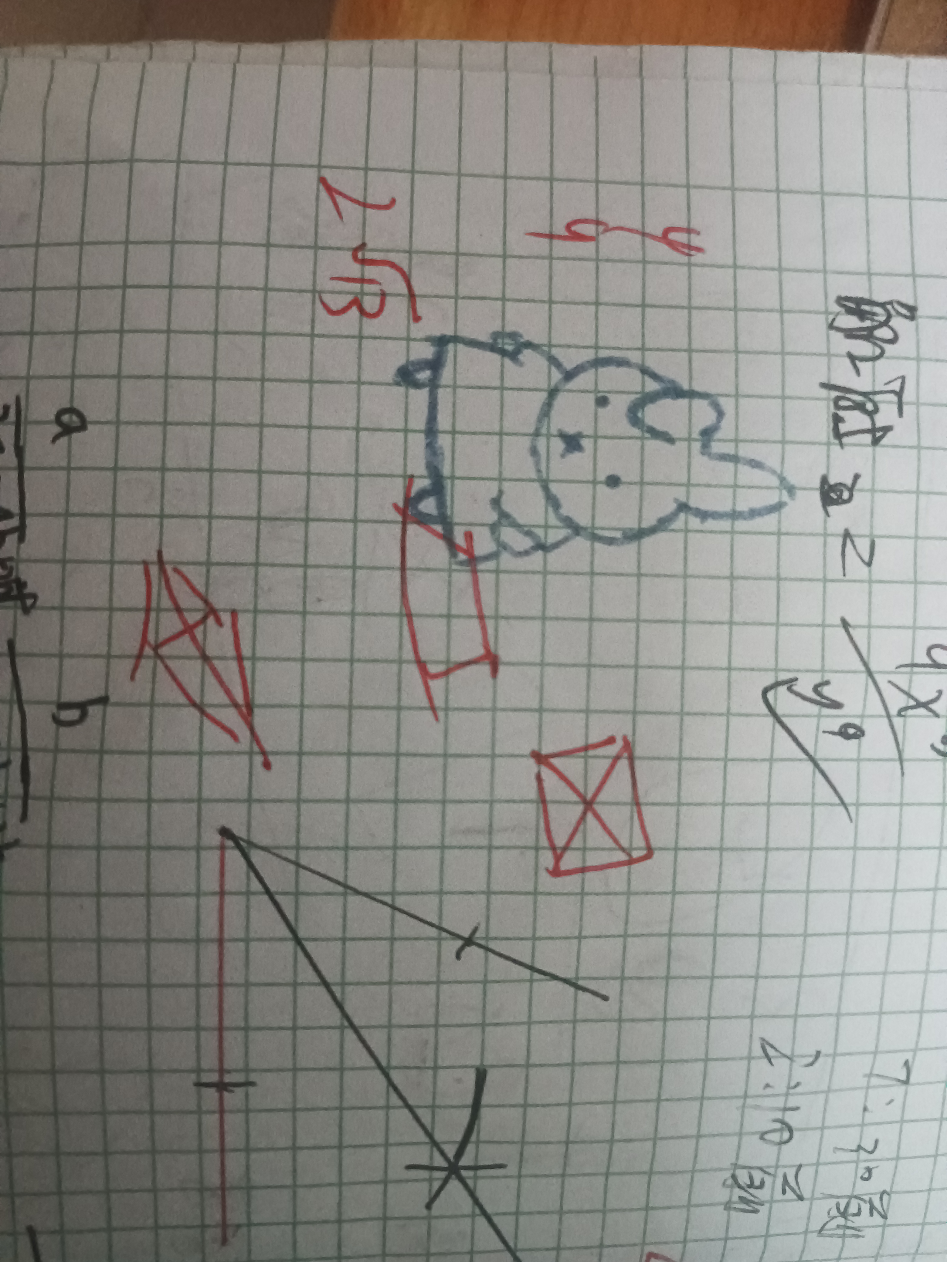 作业图片