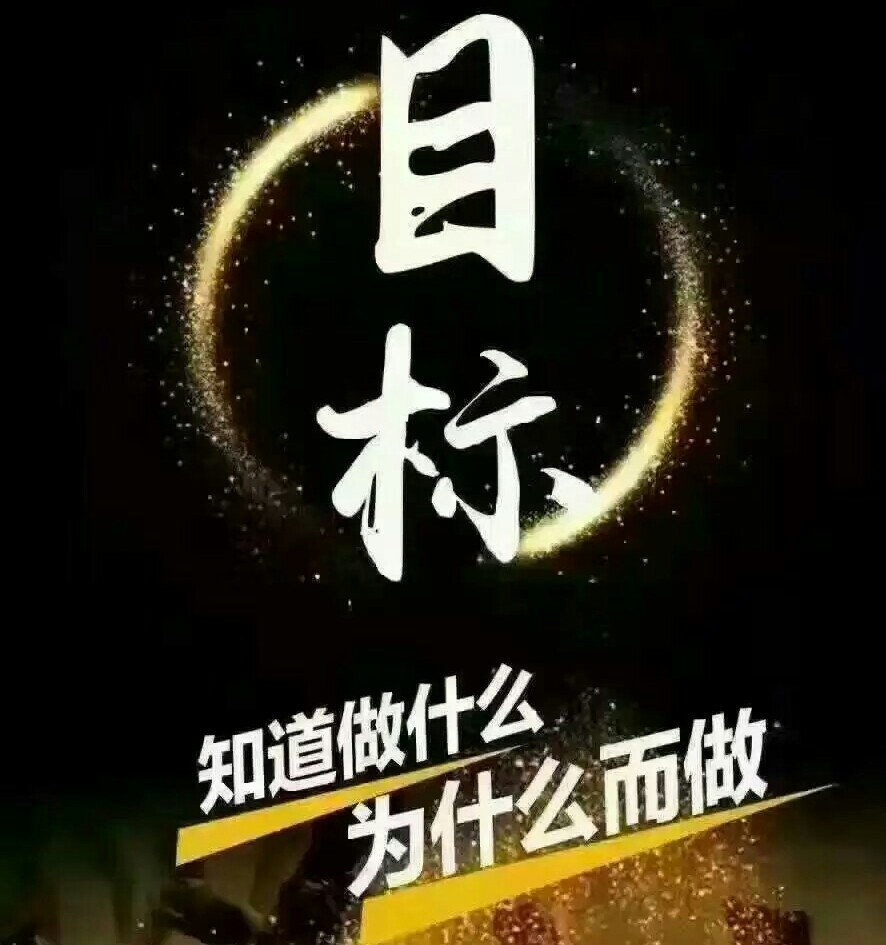 追求目标的过程