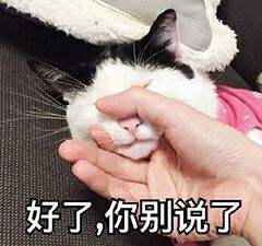 （奖励已发放）【六一儿童节】哆啦A梦南极大冒险带你留住纯真