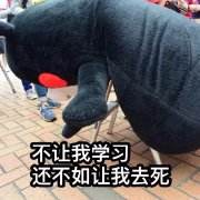 (已结束)【轻松备考能力考】冲刺7月能力考，走起！