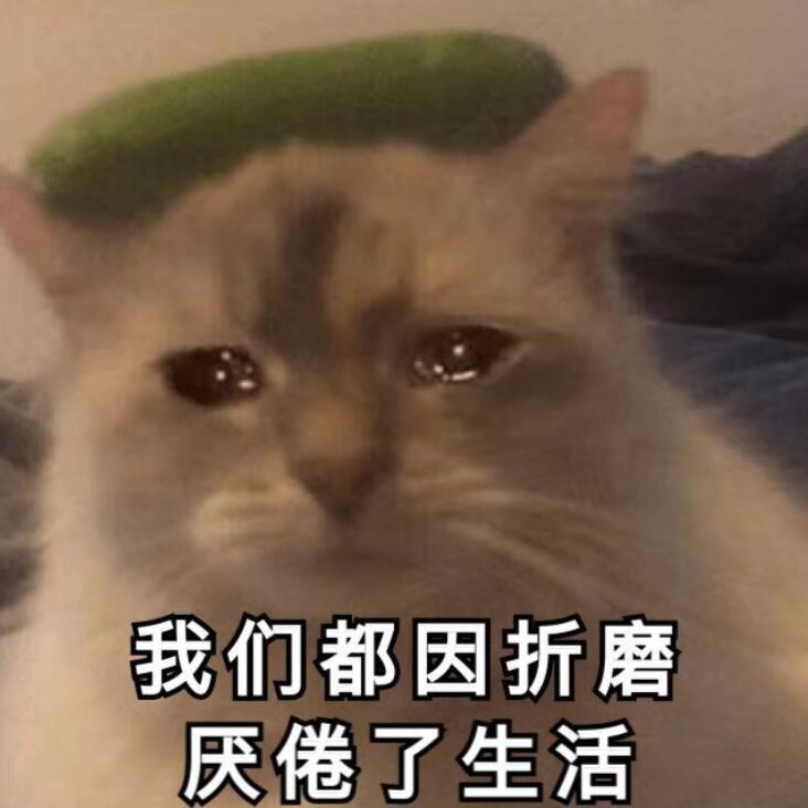 【中文歌专场】只放一些不算太大众的