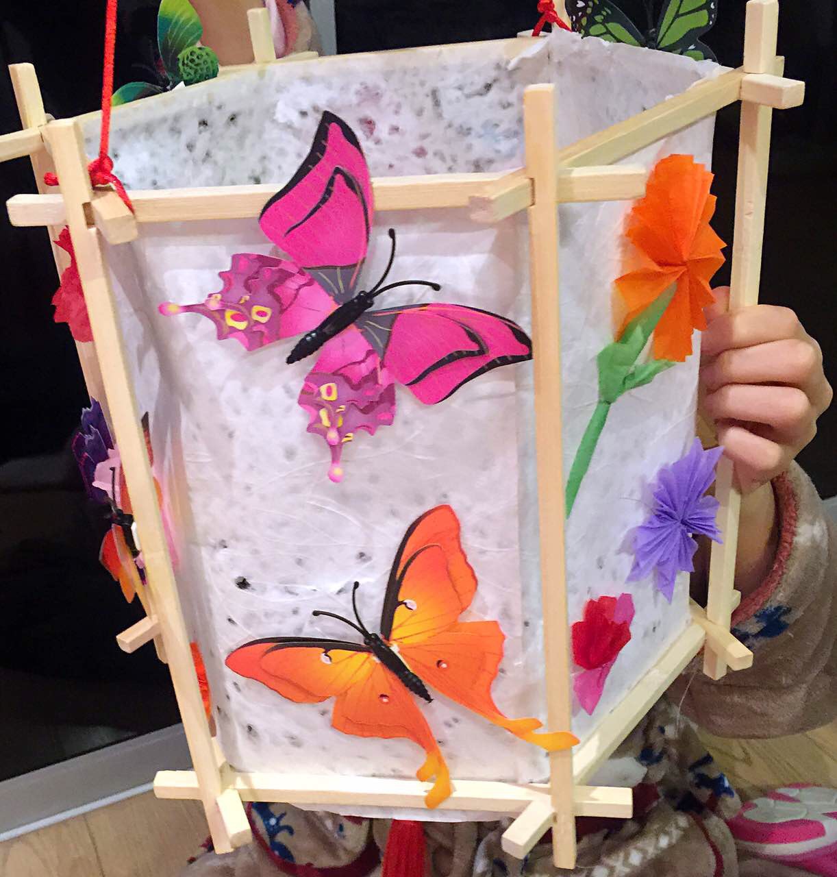 六角花灯—蝶恋花 籀园小学 蒋涵麒