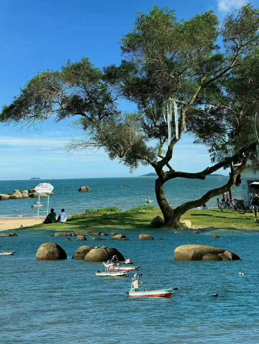 日语组队有没有一起的