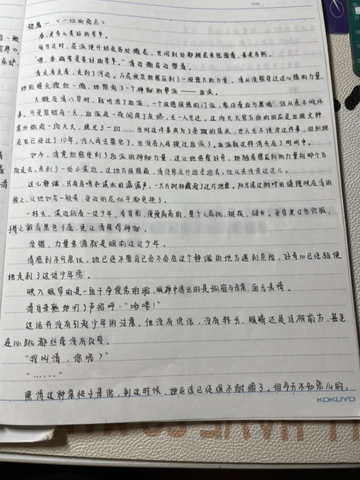 自设oc小说