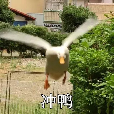 工欲善其事必先利其器！词场复习功能体验版更新啦！