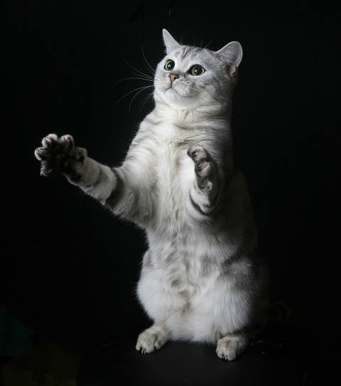 参与调查就送2学币,新概念学员专享调查活动!